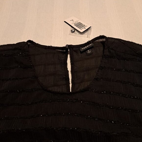 Torrid size 2 2X Abbey Lurex Chiffon Puff short sleeved top, New - Picture 4 of 10